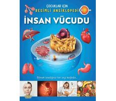 İnsan Vücudu / Çocuklar İçin Resimli Ansiklopedi - Kolektif - Yumurcak Yayınları