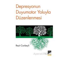 Depresyonun Duyumotor Yoluyla Düzenlenmesi - Reşit Canbeyli - Pan Yayıncılık