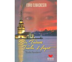 Bir Tutam Tuzlu Hayat - Ebru Elmaskeser - Efsus Yayınları