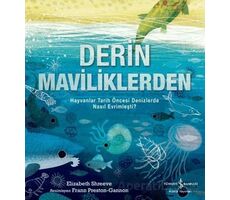 Derin Maviliklerden - Elizabeth Shreeve - İş Bankası Kültür Yayınları