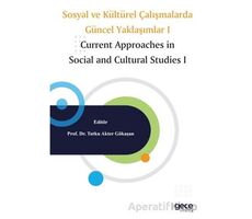 Sosyal ve Kültürel Çalışmalarda Güncel Yaklaşımlar I - Tutku Akter Gökaşan - Gece Kitaplığı