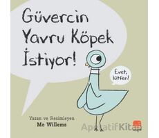 Güvercin Yavru Köpek İstiyor! - Mo Willems - Uçan Fil Yayınları