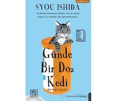 Günde Bir Doz Kedi - Syou Ishida - Athica Yayınları