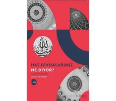 Hat Levhalarımız Ne Diyor? (40 Levha 40 Yorum -2) - Mehmet Demirci - Albaraka Yayınları