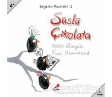 Süslü Çikolata - Reza Hemmatirad - Erdem Çocuk