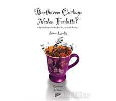Beethoven Çorbayı Neden Fırlattı? - Steven Isserlis - Pan Yayıncılık