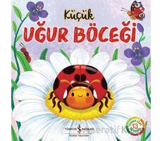 Küçük Uğur Böceği - Wednesday Jones - İş Bankası Kültür Yayınları