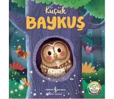 Küçük Baykuş - Wednesday Jones - İş Bankası Kültür Yayınları
