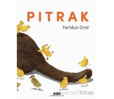 Pıtrak - Feridun Oral - Yapı Kredi Yayınları
