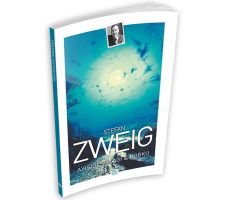 Ayışığı Sokağı ve Korku - Stefan Zweig - Maviçatı Yayınları