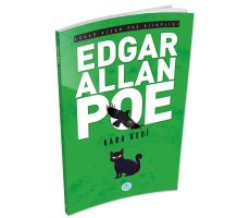 Kara Kedi - Edgar Allan Poe - Maviçatı Yayınları