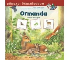 Ormanda - Dünyayı Öğreniyorum - Barbel Oftring - İş Bankası Kültür Yayınları