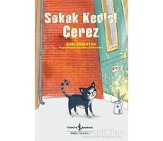 Sokak Kedisi Çerez - Suat Çağlayan - İş Bankası Kültür Yayınları