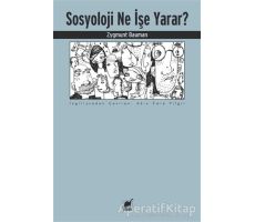 Sosyoloji Ne İşe Yarar? - Zygmunt Bauman - Ayrıntı Yayınları