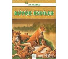 Büyük Kediler - İlk Hazinem - Denise Ryan - 1001 Çiçek Kitaplar