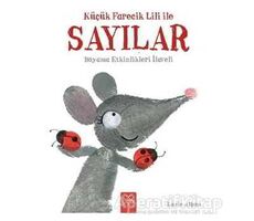 Küçük Farecik Lili İle Sayılar - Lucie Albon - 1001 Çiçek Kitaplar