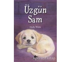 Üzgün Sam - Holly Webb - Pegasus Yayınları