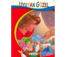 Uyuyan Güzel - Minik Kitaplar Dizisi - Kolektif - Çiçek Yayıncılık