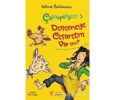 Çalısüpürgesi 3 - Denemeye Cesaretin Var mı? - Sabine Bohlmann - Kelime Yayınları