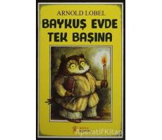 Baykuş Evde Tek Başına - Arnold Lobel - Kelime Yayınları