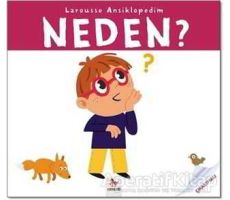 Neden - Larousse Ansiklopedim - Sylvie Baussier - Almidilli