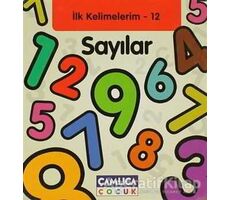 Sayılar - İlk Kelimelerim 12 - Kolektif - Çamlıca Çocuk Yayınları