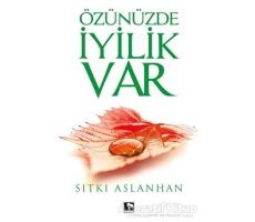 Özünüzde İyilik Var - Sıtkı Aslanhan - Çınaraltı Yayınları