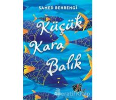 Küçük Kara Balık - Samed Behrengi - İthaki Çocuk Yayınları