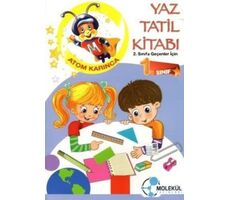 Molekül 1.Sınıf Yaz Tatil Kitabı Atom Karınca