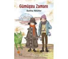 Gümüşsu Zamanı - Saliha Nilüfer - Günışığı Kitaplığı