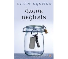Özgür Değilsin - Evrim Egemen - Cinius Yayınları