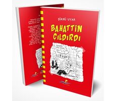 Bahattin Çıldırdı - Şükrü Uyar - Altın Yunus Yayınları