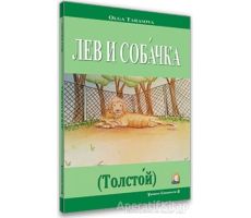 Aslan ve Köpek (Rusça Hikayeler Seviye 2) - Olga Tarasova - Kapadokya Yayınları