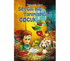 Sevgili Hiç Tanımadığım Çocuk - Hanzade Servi - Tudem Yayınları