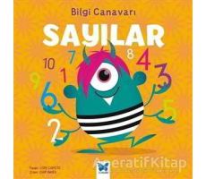 Bilgi Canavarı: Sayılar - Lori Capote - Mavi Kelebek Yayınları