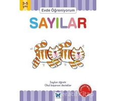 Evde Öğreniyorum - Sayılar - Jenny Ackland - Mavi Kelebek Yayınları