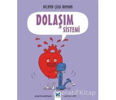 Dolaşım Sistemi - Samuel Hiti - Mavi Kelebek Yayınları