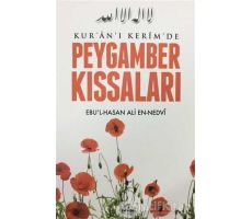 Kuran-ı Kerimde Peygamber Kıssaları - Ebul Hasan Ali En-Nedvi - Ravza Yayınları