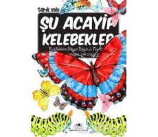 Şu Acayip Kelebekler - Tarık Uslu - Uğurböceği Yayınları