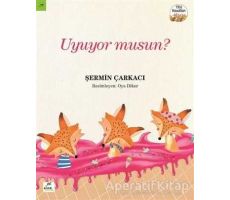 Uyuyor musun? - Şermin Çarkacı - Elma Çocuk