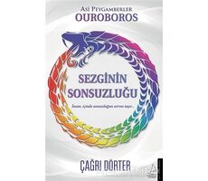 Sezginin Sonsuzluğu - Çağrı Dörter - Destek Yayınları