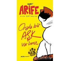 Arife - Evde Cat Başına - Rewhat - Alfa Yayınları