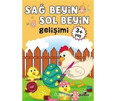 Sağ Beyin - Sol Beyin Gelişimi +3 Yaş - Kolektif - Beyaz Panda Yayınları