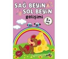 Sağ Beyin - Sol Beyin Gelişimi +5 Yaş - Kolektif - Beyaz Panda Yayınları