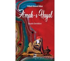 Amak-ı Hayal - Filibeli Ahmet Hilmi Efendi - Çınaraltı Yayınları