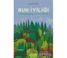 Ruh İyiliği - Hayati Sır - Hayykitap