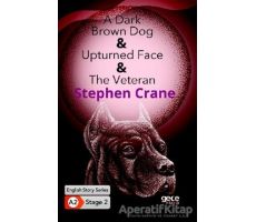 A Dark Brown Dog - Upturned Face - The Veteran - İngilizce Hikayeler A2 Stage 2