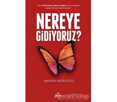 Nereye Gidiyoruz ? - Haydar Hatipoğlu - Ravza Yayınları