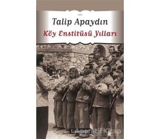 Köy Enstitüsü Yılları - Talip Apaydın - Literatür Yayıncılık