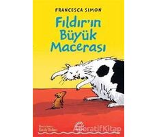 Fıldır’ın Büyük Macerası - Francesca Simon - İletişim Yayınevi